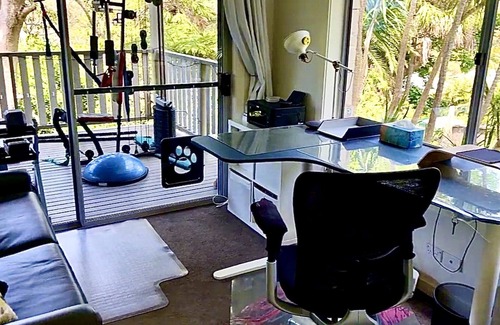 Avalon Beach House | Avalon Beach Vibrant Treehouse mins to village+beach. Pet friendly with yard.