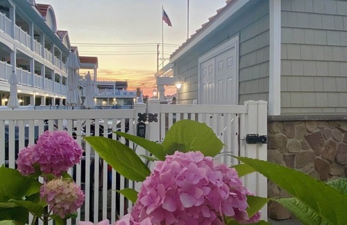 Avalon Condo | Avalon fun & sun with pool, beach block and the best beach side bars