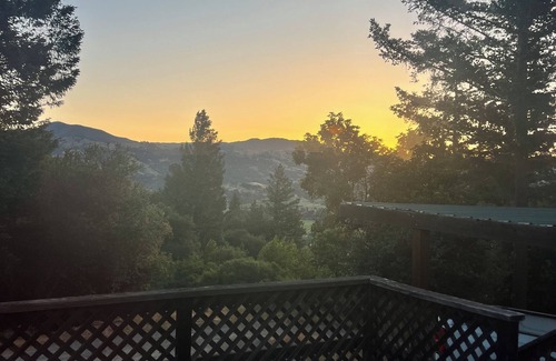 Geyserville Cabin | AVL Private Retreat Cabin with hot tub on private wooded property
