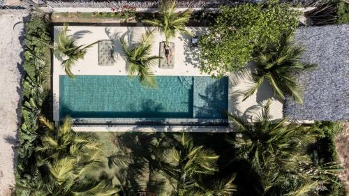 Tatajuba House | Avra Tatajuba