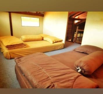 Kajarharjo Hotel | Avrilla Ijen Homestay & Cafe