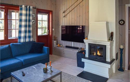 Rauland House | Awesome Home In Rauland With Kitchen