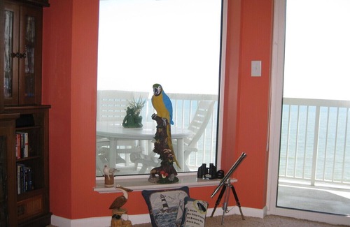 North Myrtle Beach Condo | Awesome Oceanfront Condo, Unique Custom Features, Paradise Pointe, Cherry Grove