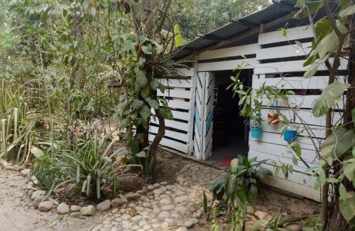 Yarinacocha House | AYA NI