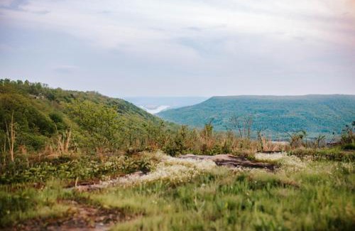 Jasper House | Azalea & Blackberry Cabins