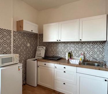 Decin Apartment | Bílý klid nově zrekonstruované studio
