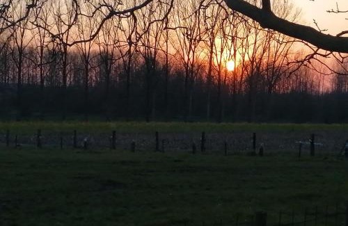 Sint-Lambrechts-Herk Bed & Breakfast | B&B Bloonwinning