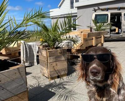 Hirtshals Bed & Breakfast | B&B by the Sea Hirtshals