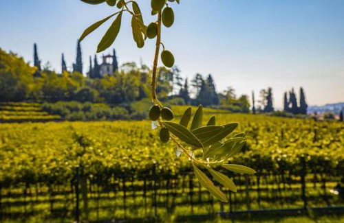 Gargagnago di Valpolicella Bed & Breakfast | B&B Ca' Bernai