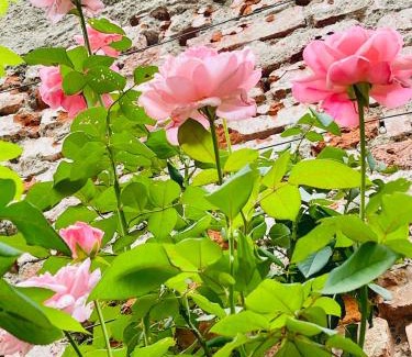 Cernusco sul Naviglio Bed & Breakfast | B&B Corte sul Naviglio CIN I T 0 1 5 0 7 0 C 1 3 X U I L Q C V