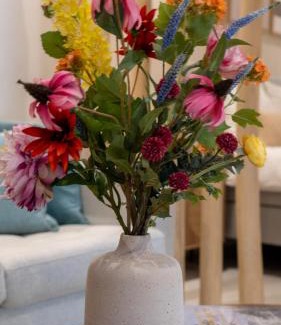 Municipality of Haarlem Bed & Breakfast | B&B De Amsterdamse Poort