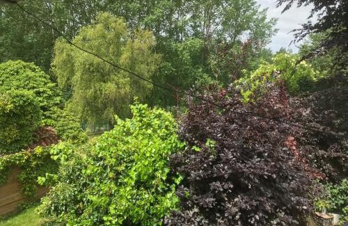 Heks Bed & Breakfast | B&B De Henehoeve