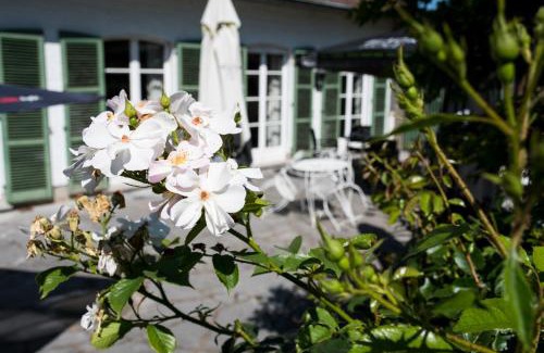 Ecaussinnes-dʼEnghien Bed & Breakfast | B&B El Tyu