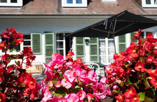 Ecaussinnes-dʼEnghien Bed & Breakfast | B&B El Tyu