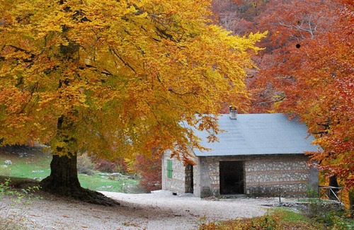 Morino House | B&B Fiume - Zompo Lo Schioppo Nature Reserve