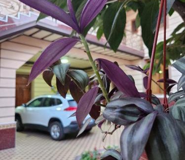 Samarkand House | B&B Giza