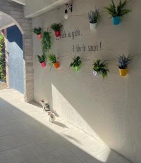 Cologna Spiaggia Bed & Breakfast | B&B Gli amici del tubarello