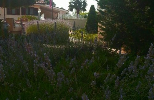 Colleferro Bed & Breakfast | B&B Joy