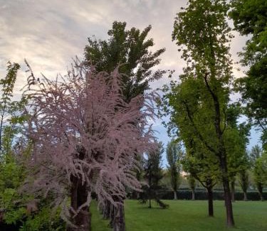 Il Cristo Bed & Breakfast | B&B KM 198 - Letto e colazione