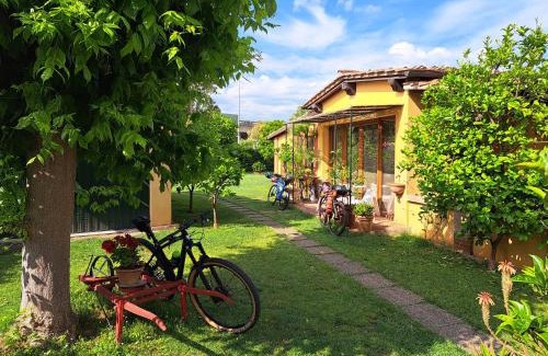 Pisa Bed & Breakfast | B&B La corte di Stelio