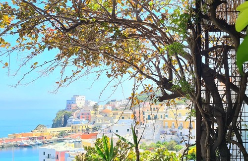 Ponza Bed & Breakfast | b&b La Limonaia a mare 05