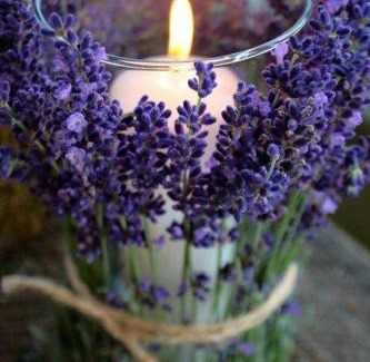 Settefrati Bed & Breakfast | B&B La Meta