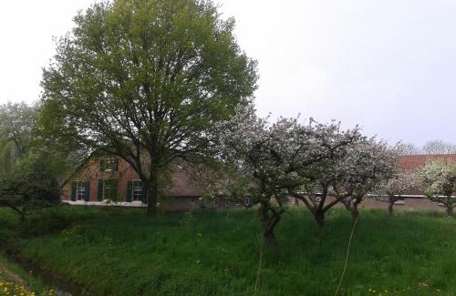 Polanen Bed & Breakfast | B&B Louisehoeve