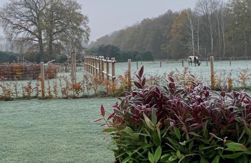 Deurne Bed & Breakfast | b&b Meilrijk