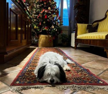 Fiuggi Bed & Breakfast | B&B Metamorphosi