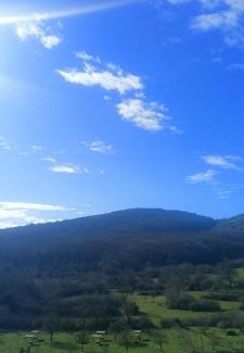 Fiuggi Bed & Breakfast | B&B Metamorphosi