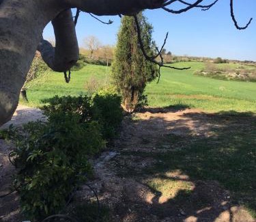 Cassano delle Murge Apartment | B&B NUZZI