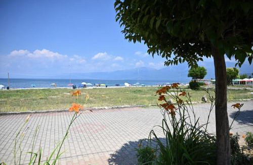 Pogradec Apartment | B & B Pogradec