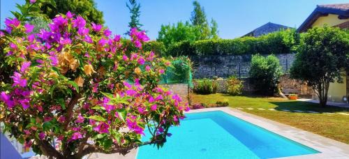 Gargagnago di Valpolicella Bed & Breakfast | B&B QUINTARELLI