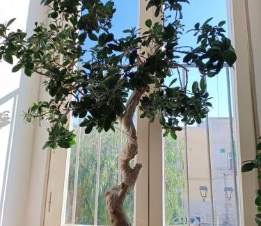 Molfetta Apartment | B&B San Francesco