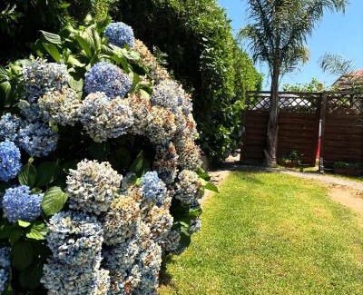 Sant'Eufemia Lamezia Bed & Breakfast | B&B Villa dei Fiori