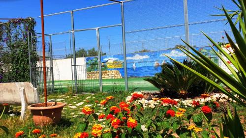 Lecce Bed & Breakfast | B&B Villa Romina