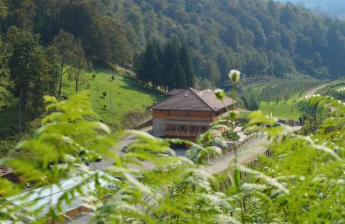 Mali Radic Bed & Breakfast | B&B Zlatna Nit