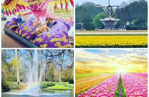 Kaag Bed & Breakfast | B&Bslapenopeeneiland