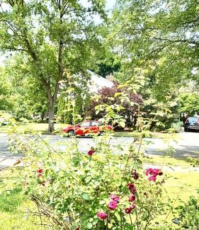 Naperville House | B1 A private room in Naperville downtown with desk and Wi-Fi near everything