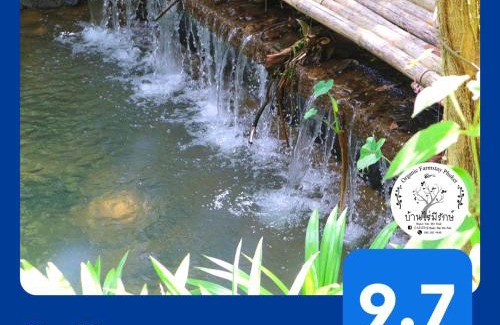 Pa Klok House | Baan Rai Me Rak Organic Farmstay
