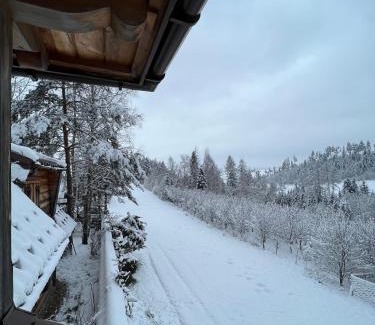 Nowy Targ Villa | Bacówka w górach- Kolasówka