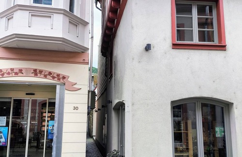 Mainz-Bingen Apartment | Bacchus Holiday Homes– Rhein & Wein| 7 Guests, Old Town, Castle & Vineyard Views