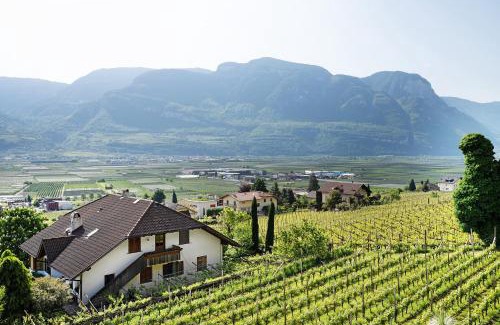 Tramin Apartment | Bacchushof Apartment Sauvignon