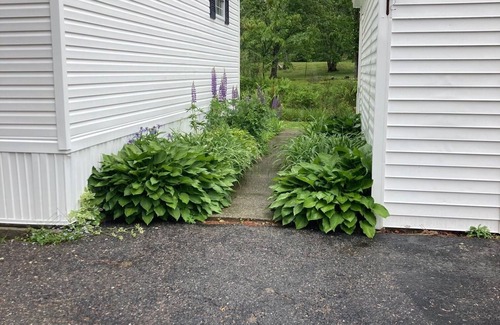 Castine Cottage | Back to basics small simple cottage just a two minute drive to the beach.