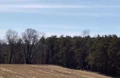 Littleport House | Backbone Ranch- 3BR/2Bath Rustic Country Living