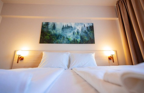 Covasna Hotel | Bacolux Santis