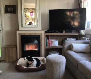 St Minver Resort | Badgers nestled in a cozy corner of the park