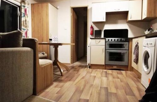 St Minver Resort | Badgers nestled in a cozy corner of the park