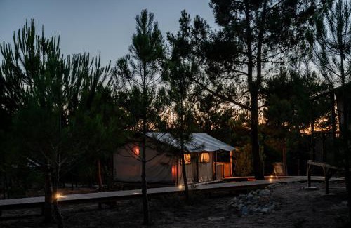Santo Andre Other | Badoca Safari Glamping Experience