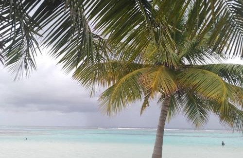 Kaashidhoo House | Bahari Lodge, K.Kaashidhoo